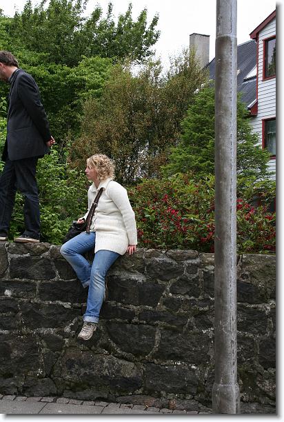 Næste billede